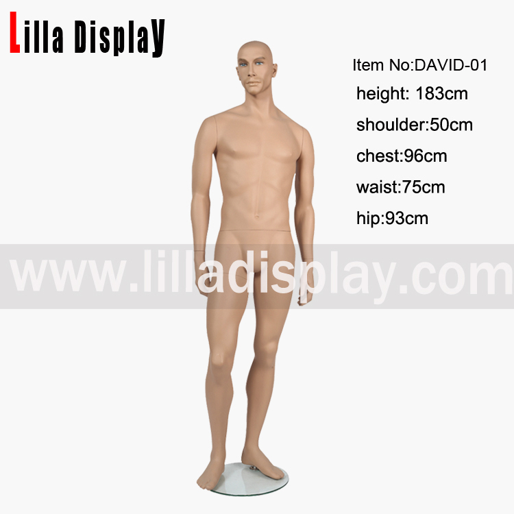 realistic male mannequin